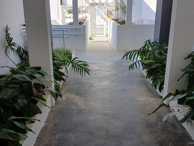 Apartamento para Locação em Caraguatatuba - 4